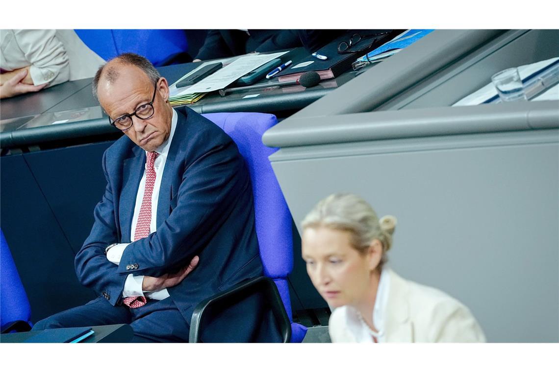 „Üble Nachrede“: Merz wehrt sich gegen Weidels Lügen-Vorwurf