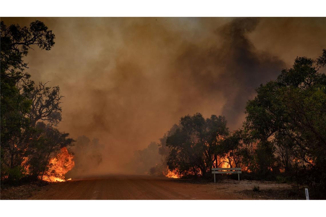 Die Erde reflektiert immer weniger Sonnenlicht Buschbrände in Australien nördlich von Perth