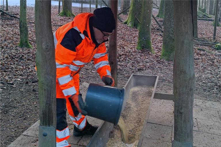 Carlo Castoro füttert die Hirsche und Mufflons (Wildschafe) im Plattenwald. Foto: privat