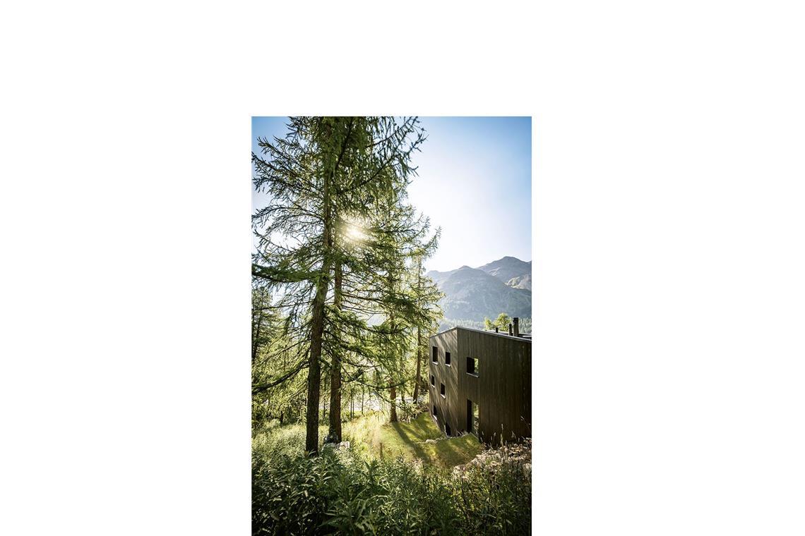 Traumhäuser aus Holz in Stuttgart und anderswo