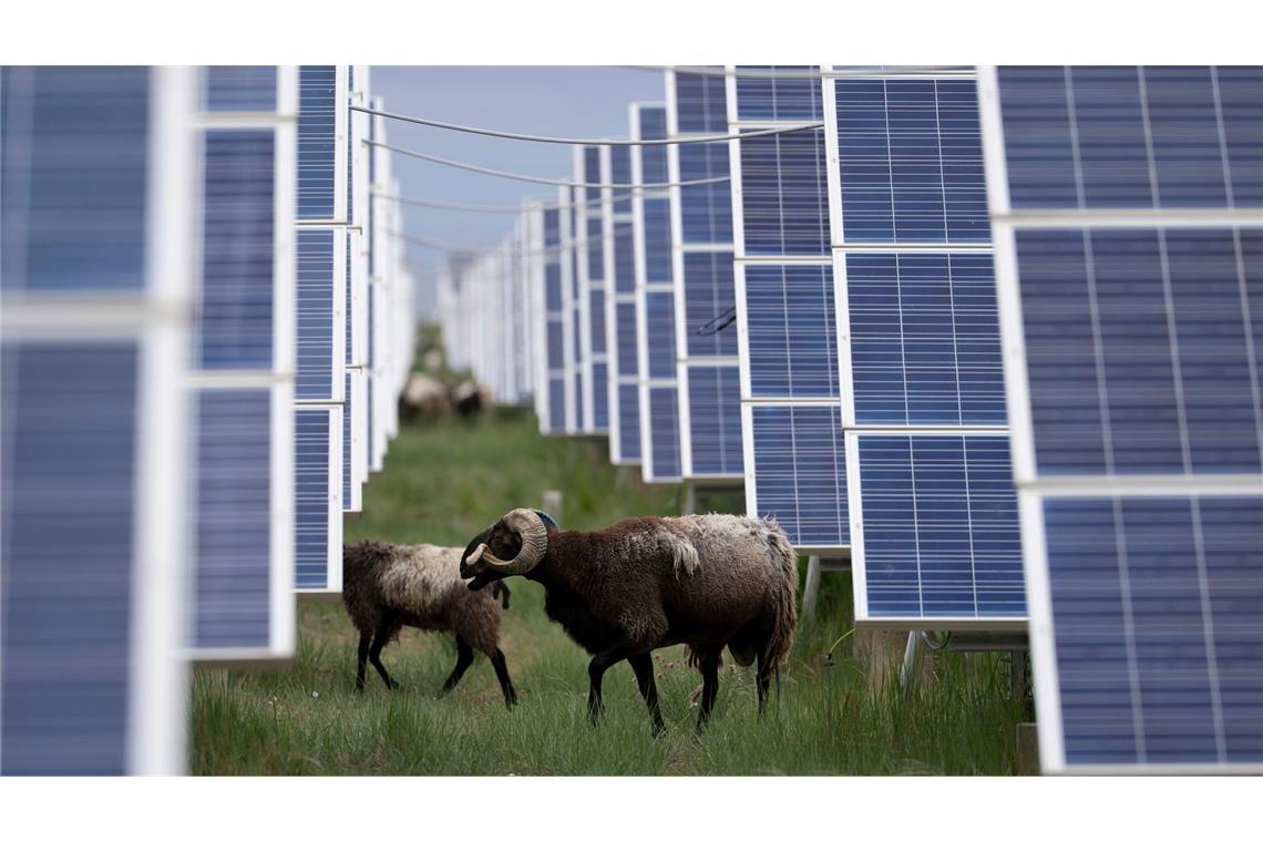 China nimmt weiter mehr Kohlekraft ans Stromnetz