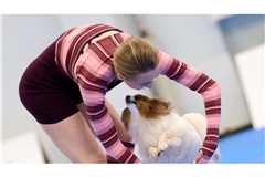 Choreografie auf Pfoten: Dog-Dancing-Stars begeistern mit Showeinlagen in Dortmund