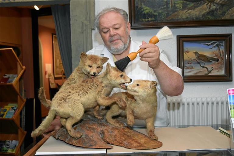 Christian Schweizer restauriert das Präparat dreier junger Füchse. Zwei der Tiere hat er selbst Mitte der 1980er-Jahre präpariert. Foto: Elisabeth Klaper
