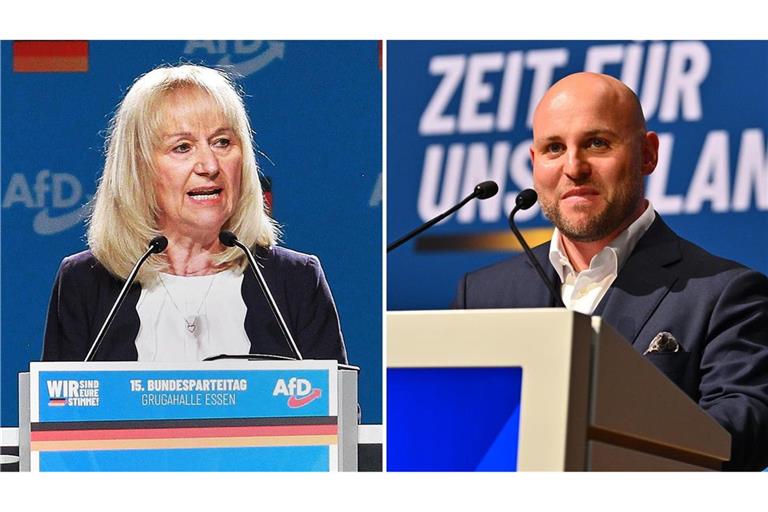 Christina Baum sollte nicht mehr über die  Landesliste in den Bundestag einziehen. Dass die 69-Jährige aber immer noch im Südwesten präsent ist, überrascht den AfD-Landesvorsitzenden Markus Frohnmaier.