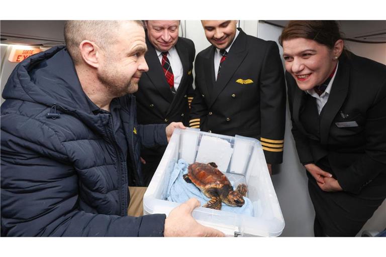 „Crush“ reist mit.