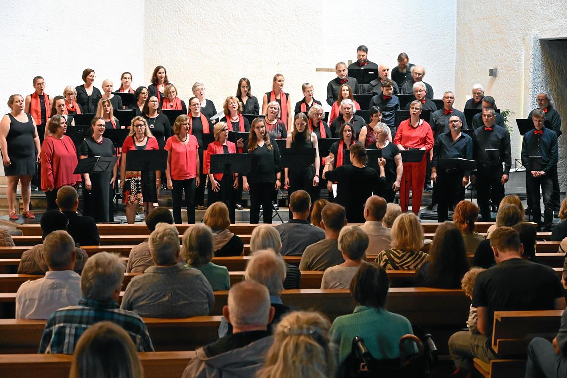 Stimmgewaltiges Sommerkonzert begeistert Da Capo (Liederkranz Murrhardt) und Marcanto (Gesangverein Eintracht Grab) haben sich zum zweiten Mal für ein gemeinsames Konzert zusammengetan. Ihr Programm kam beim Publikum überaus gut an. Kommenden Samstag besteht noch einmal Gelegenheit, Chöre und Solisten in Grab zu erleben. Foto: Elisabeth Klaper