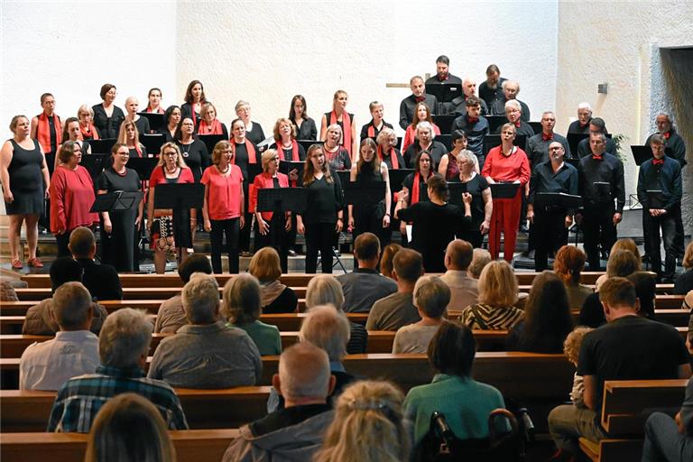Da Capo (Liederkranz Murrhardt) und Marcanto (Gesangverein Eintracht Grab) haben sich zum zweiten Mal für ein gemeinsames Konzert zusammengetan. Ihr Programm kam beim Publikum überaus gut an. Kommenden Samstag besteht noch einmal Gelegenheit, Chöre und Solisten in Grab zu erleben. Foto: Elisabeth Klaper