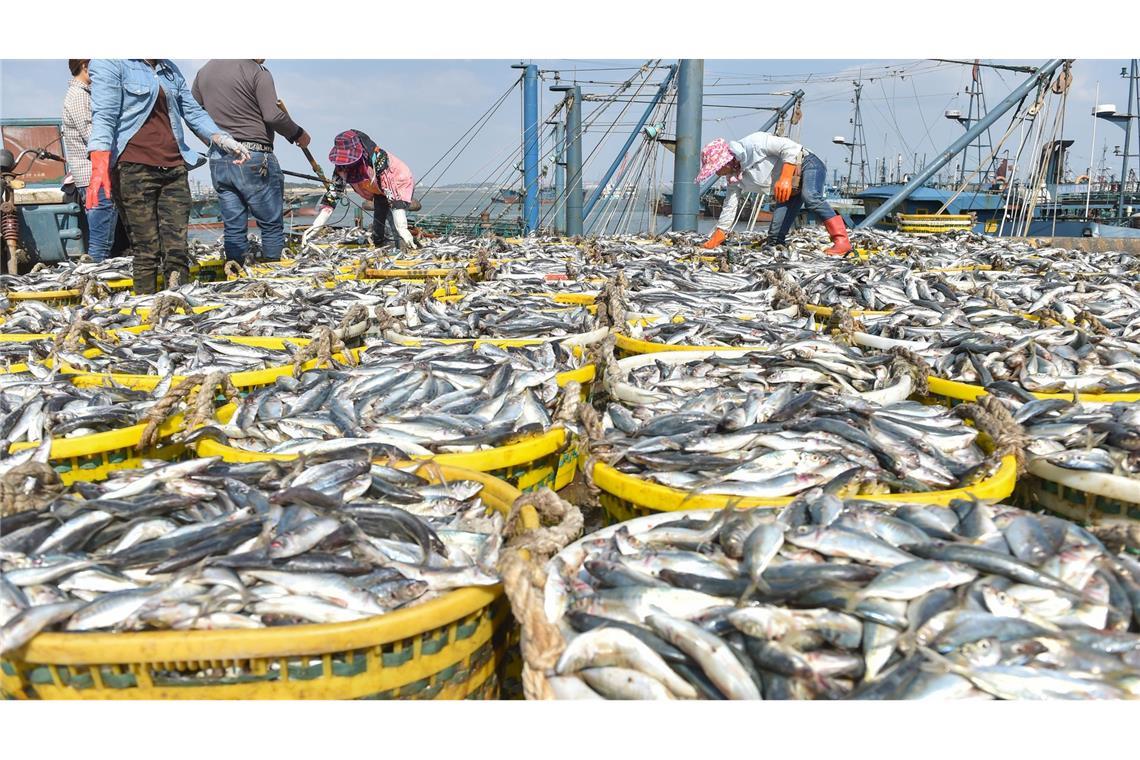 Das Abkommen hat zum Ziel, die Meereslebewesen in Gebieten außerhalb nationaler Gerichtsbarkeit zu schützen. (Archivbild)
