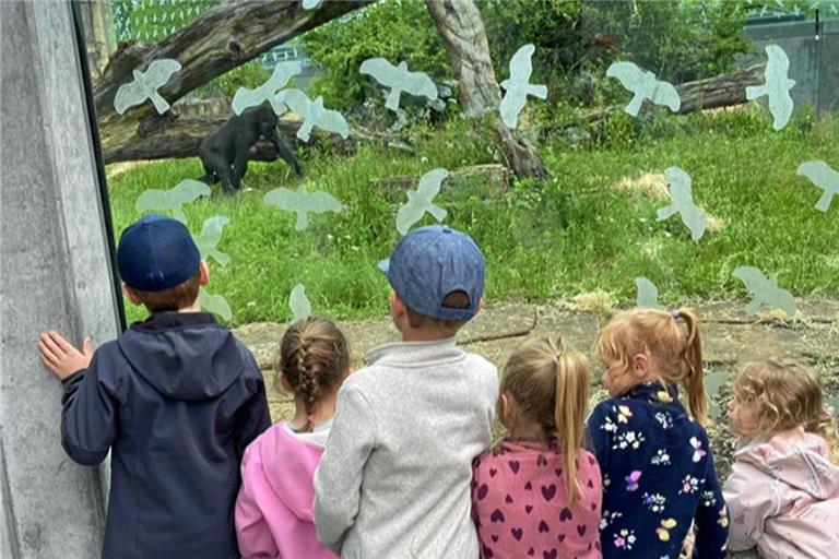 Das Affengehege im Tierpark hat die Kinder fasziniert. Foto: privat