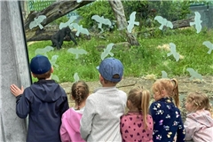 Das Affengehege im Tierpark hat die Kinder fasziniert. Foto: privat