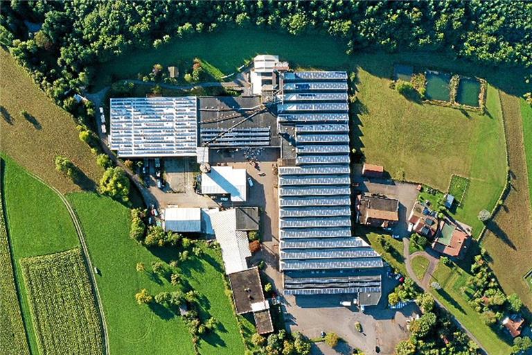 Das Areal liegt gegenüber dem Dorfkern von Fornsbach. Fotos: Kühnle’Waiko