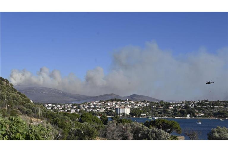 Das auf einem Acker ausgebrochene Feuer soll sich durch starken Wind auf umliegende Büsche und Wälder ausgebreitet haben.