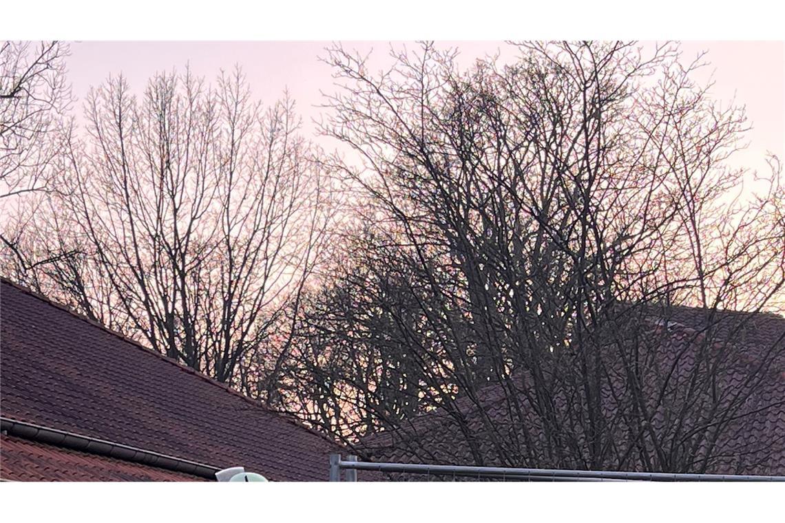 Das ausgeströmte Gas sammelte sich im Keller des Kurzentrums.