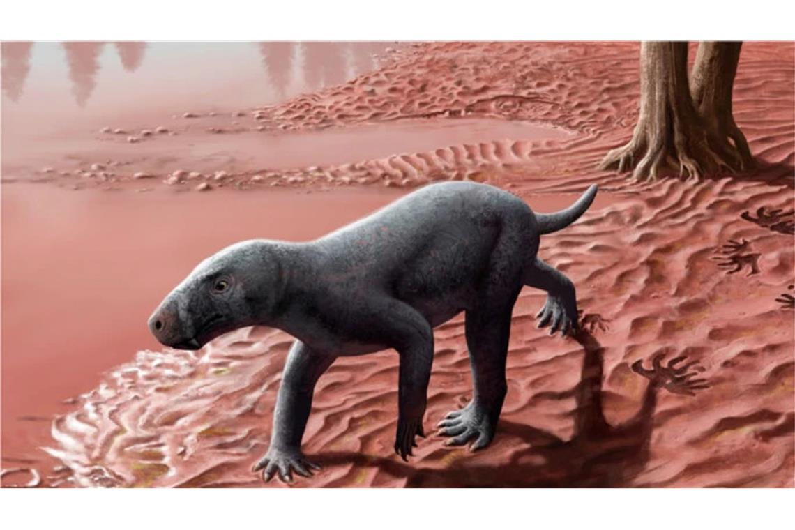 Forscher finden ältesten Vorfahren der Säugetiere Das Aussehen der Gorgonopsier ähnelte dem eines Hundes, allerdings ohne Ohren und Fell, und sie waren oft die Spitzenräuber im Ökosystem.