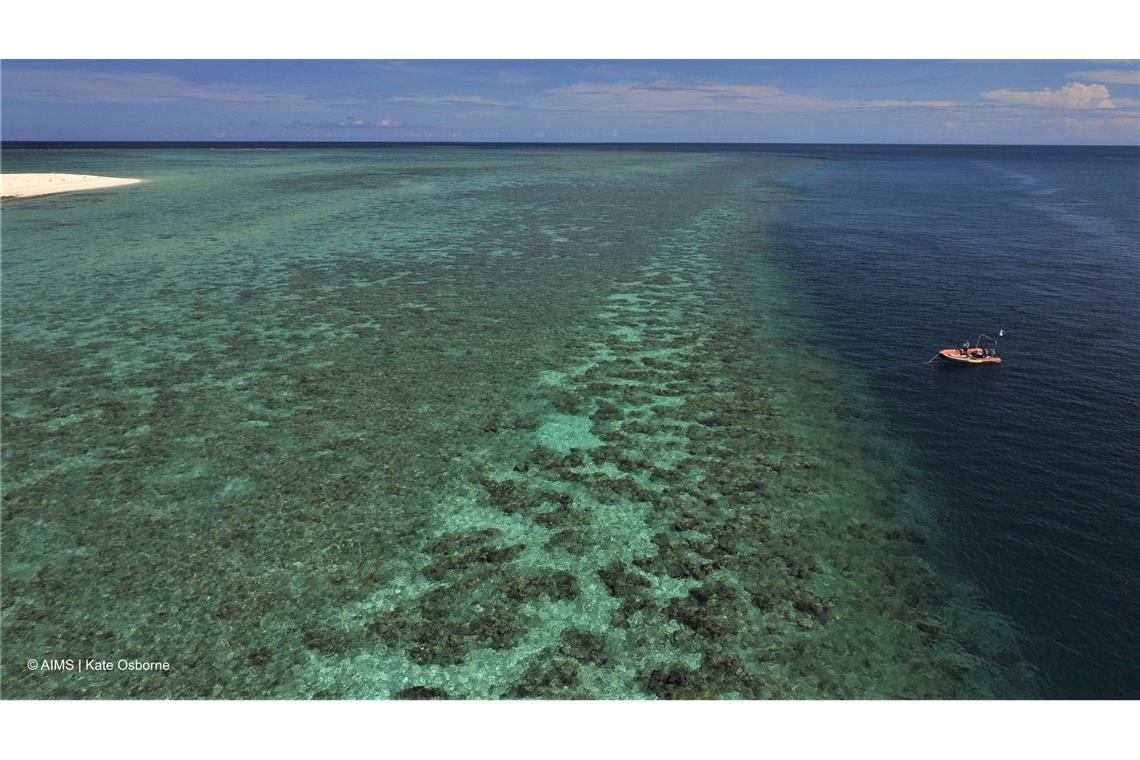 Das Australian Institute of Marine Science (AIMS) untersucht das Great Barrier Reef seit vielen Jahren.