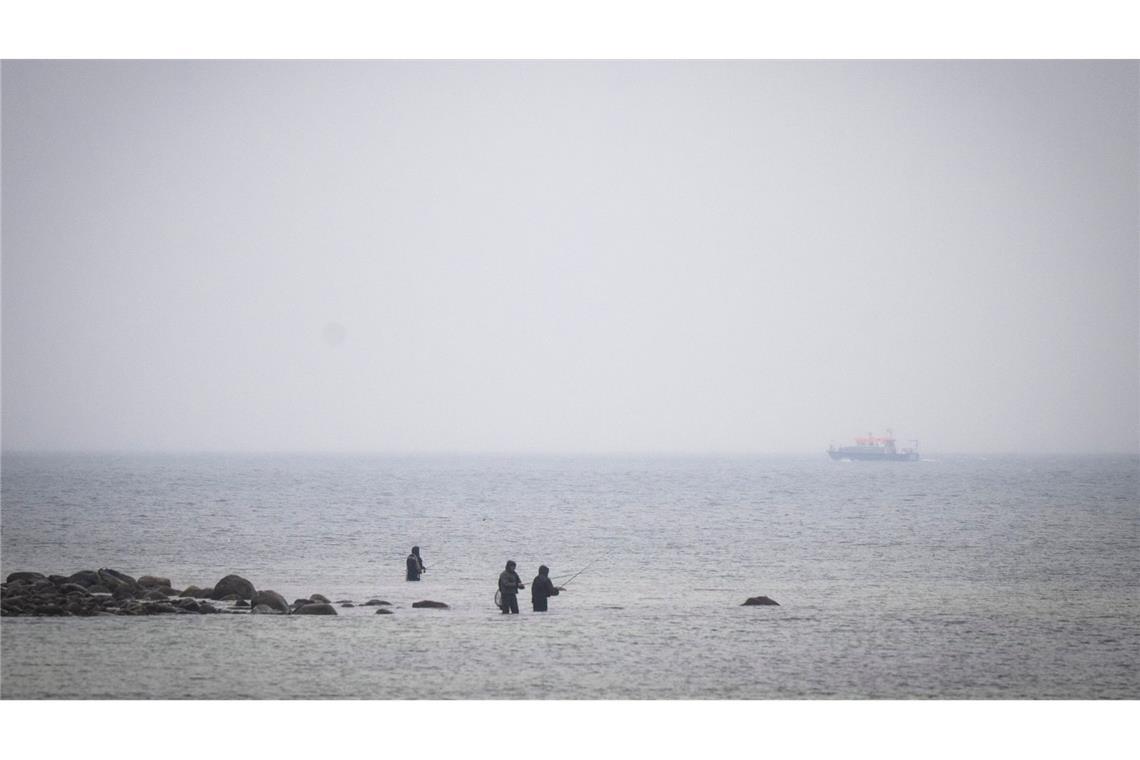 Das Boot "Uecker" von der Wasserschutzpolizei sucht den Wal an der Ostseeküste.
