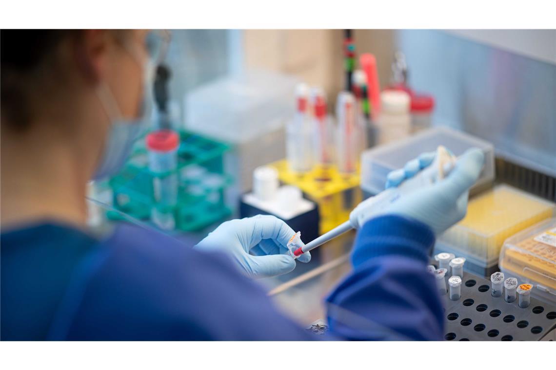WHO-Rat: China mauert - Ursprung des Virus unklar Das Coronavirus hatte sich Anfang 2020 von Wuhan aus in der ganzen Welt verbreitet und eine verheerende Pandemie ausgelöst. (Symbolbild)
