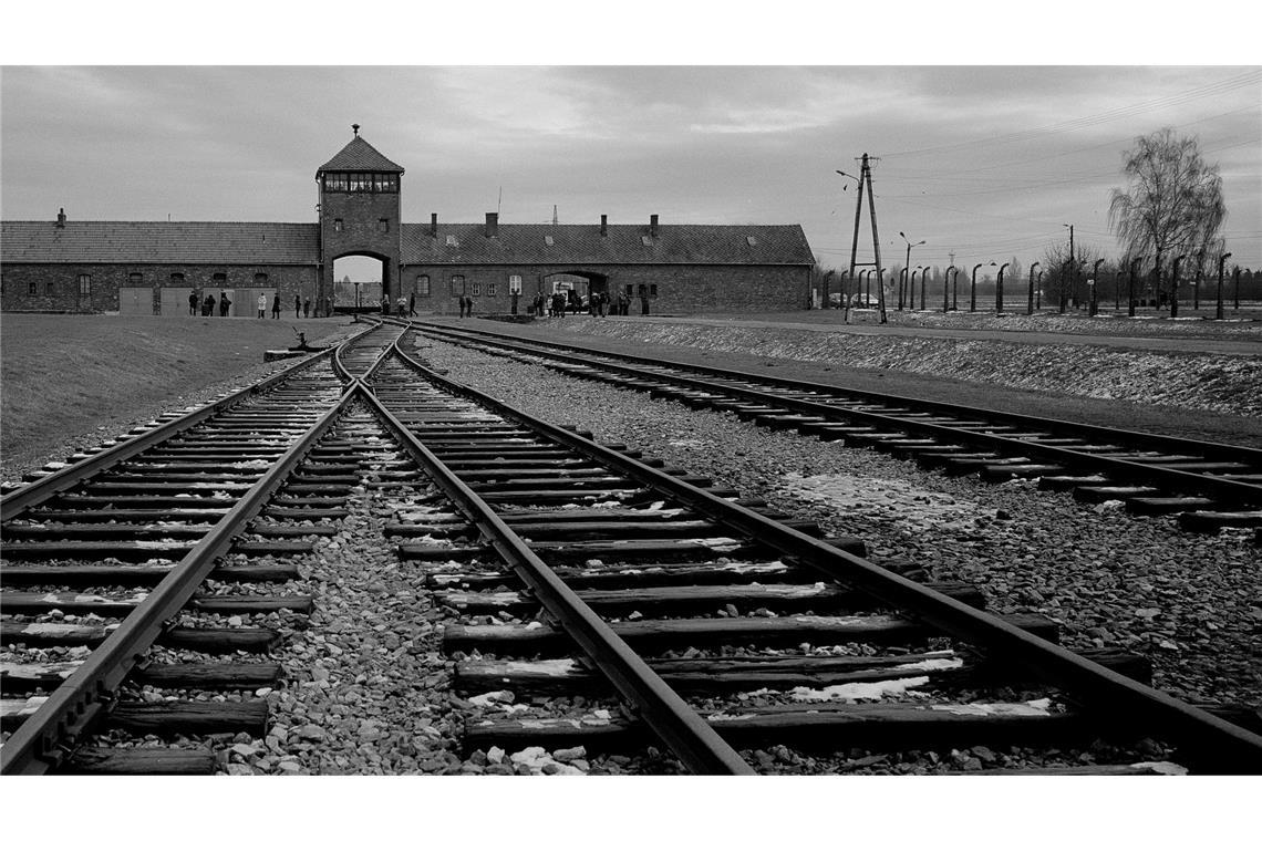 "Als ob es gestern wäre": 80 Jahre nach Auschwitz Das ehemalige NS-Vernichtungslager Auschwitz-Birkenau
