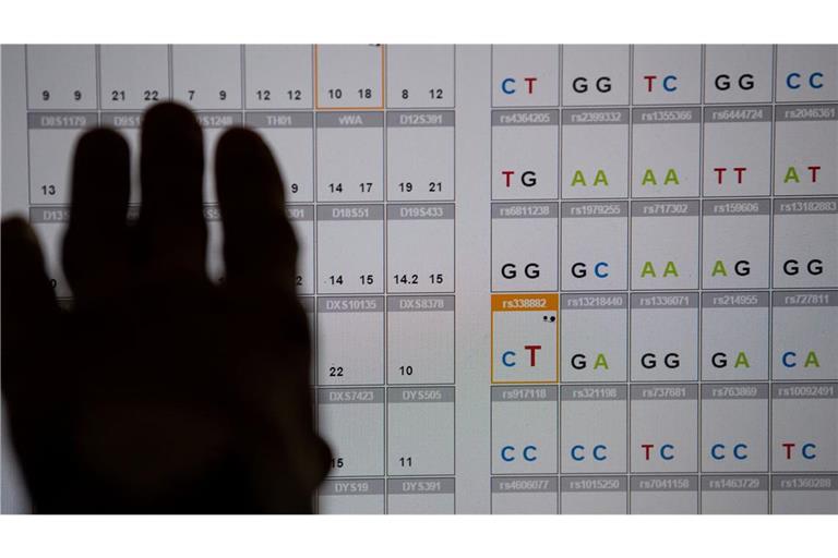 Das Ergebnis einer DNA-Sequenzanalyse: Sollen Strafverfolger bei der Fahndung auch die wahrscheinliche Herkunftsregion des Täters per DNA-Analyse überprüfen können (Symbolfoto)?