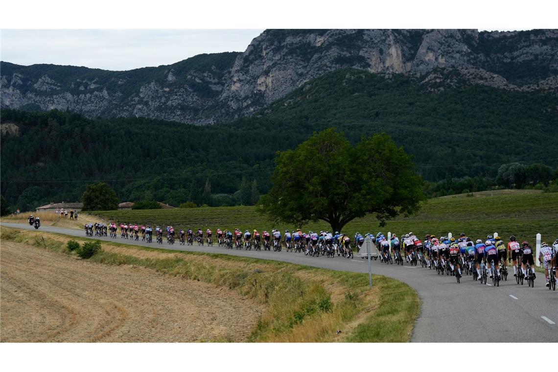 Das Fahrerfeld auf der 17. Etappe der Tour de France auf dem Weg nach Valence.