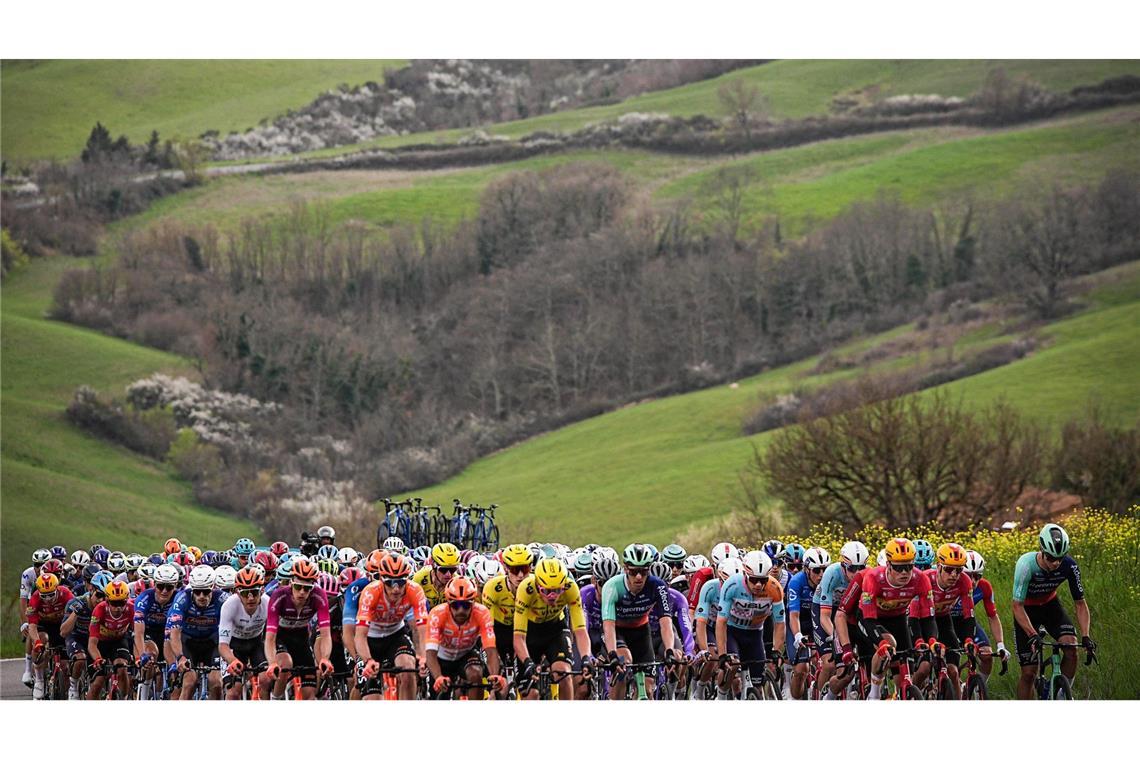 Das Feld der Fahrer fährt durch die toskanische Landschaft während der zweiten Etappe des Tirreno-Adriatico-Radrennens von Camaiore nach San Gimignano.