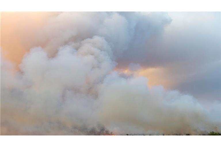 Das Feuer in der Gohrischheide ist weiter nicht unter Kontrolle. Aktuell breitet sich der Brand nach Norden aus, teilte das Landratsamt Meißen am Donnerstagmorgen mit.