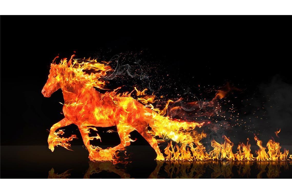 Das „Feuerpferd“ oder „Feuer-Pferd“ ist in China das Symbol des Jahres 2026.