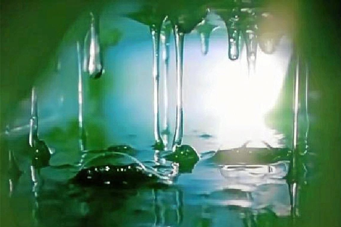 Spielraum für Kreativität Das Fotoprojekt (III): Eindrucksvolles Licht- und Wassertropfenspiel. Foto: privat