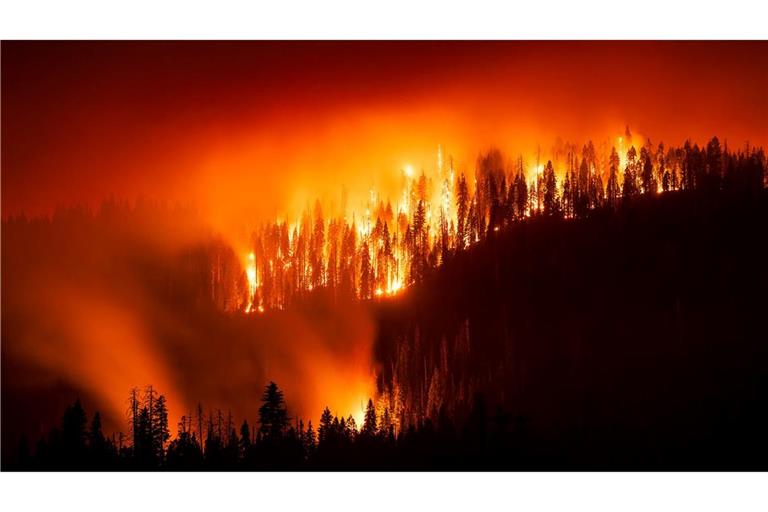 Das "Garnet Fire" bedroht Riesenmammutbäume im Waldgebiet McKinley Grove.