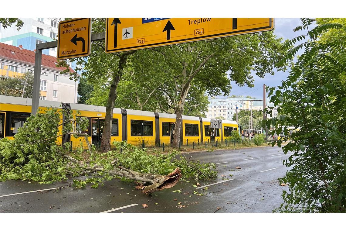 Das gesamte Stadtgebiet war den Angaben nach betroffen - hier abgebrochene Äste im Prenzlauer Berg.