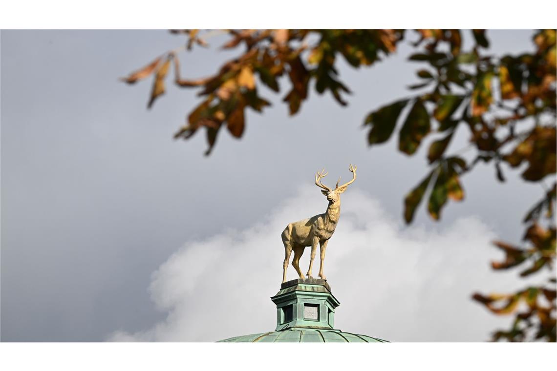 Das goldene Herbstwetter nochmal ausnutzen, bevor es unangenehm wird.