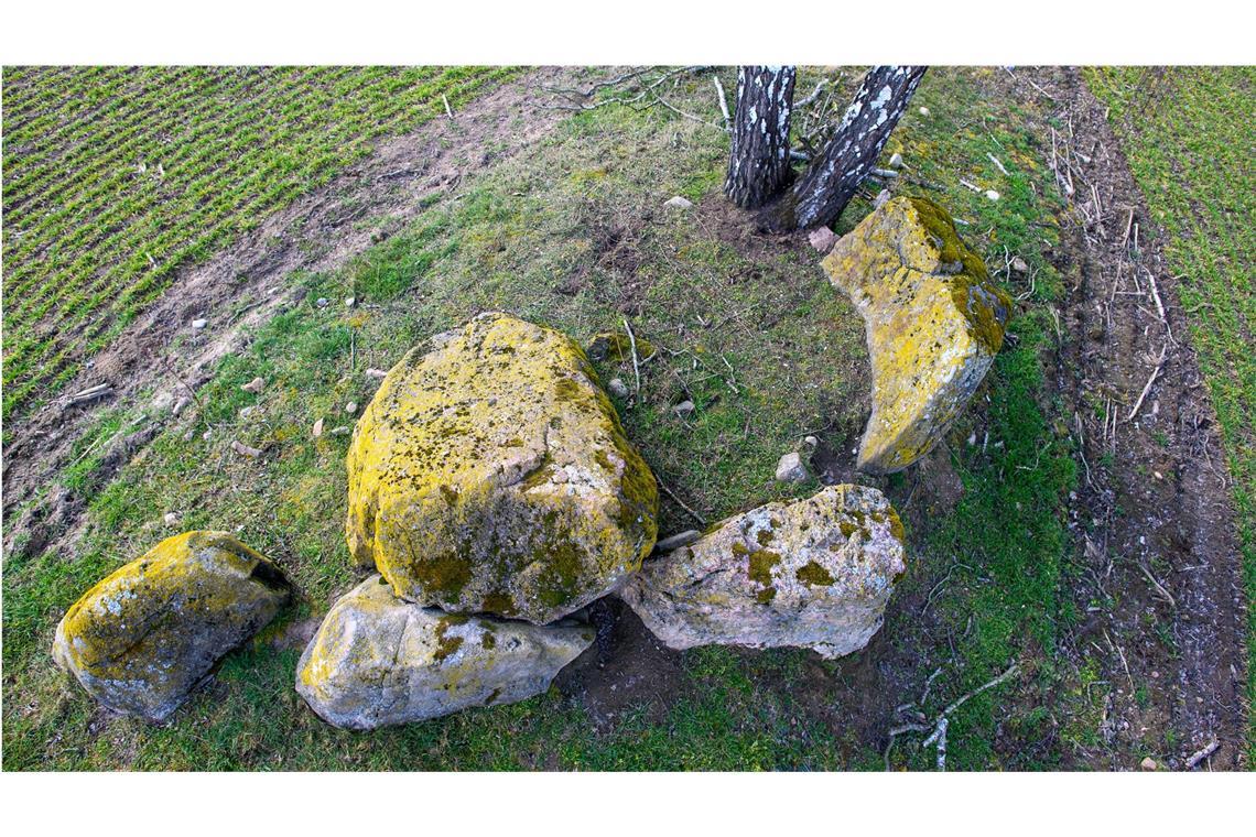 Ungewöhnliches Diebesgut aus 5000 Jahre altem Grab Das Großsteingrab Immekath 1 liegt bei Klötze in der Altmark.