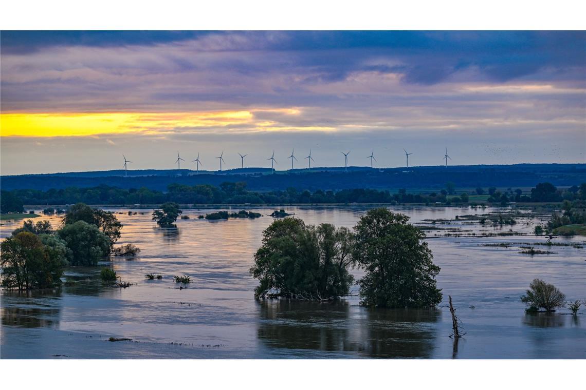Das Hochwasserrisiko ist in vielen Bundesländern hoch – wie hier in Brandenburg 2024. (Symbolbild)
