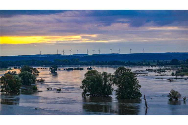 Das Hochwasserrisiko ist in vielen Bundesländern hoch – wie hier in Brandenburg 2024. (Symbolbild)