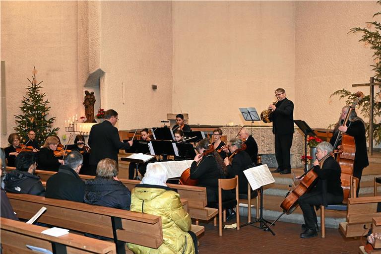 Das Kammerorchester und Waldhornist Moritz Hildebrand beeindruckten das Publikum. Sie erhielten im Anschluss an ihr Konzert jede Menge Beifall. Foto: Elisabeth Klaper
