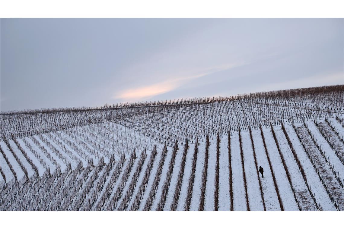 Bilder des Tages Das kann eigentlich nur "Eiswein" werden: Ein Winzer arbeitet am frühen Morgen in den schneebedeckten Weinbergen des Schwanberges in Bayern.