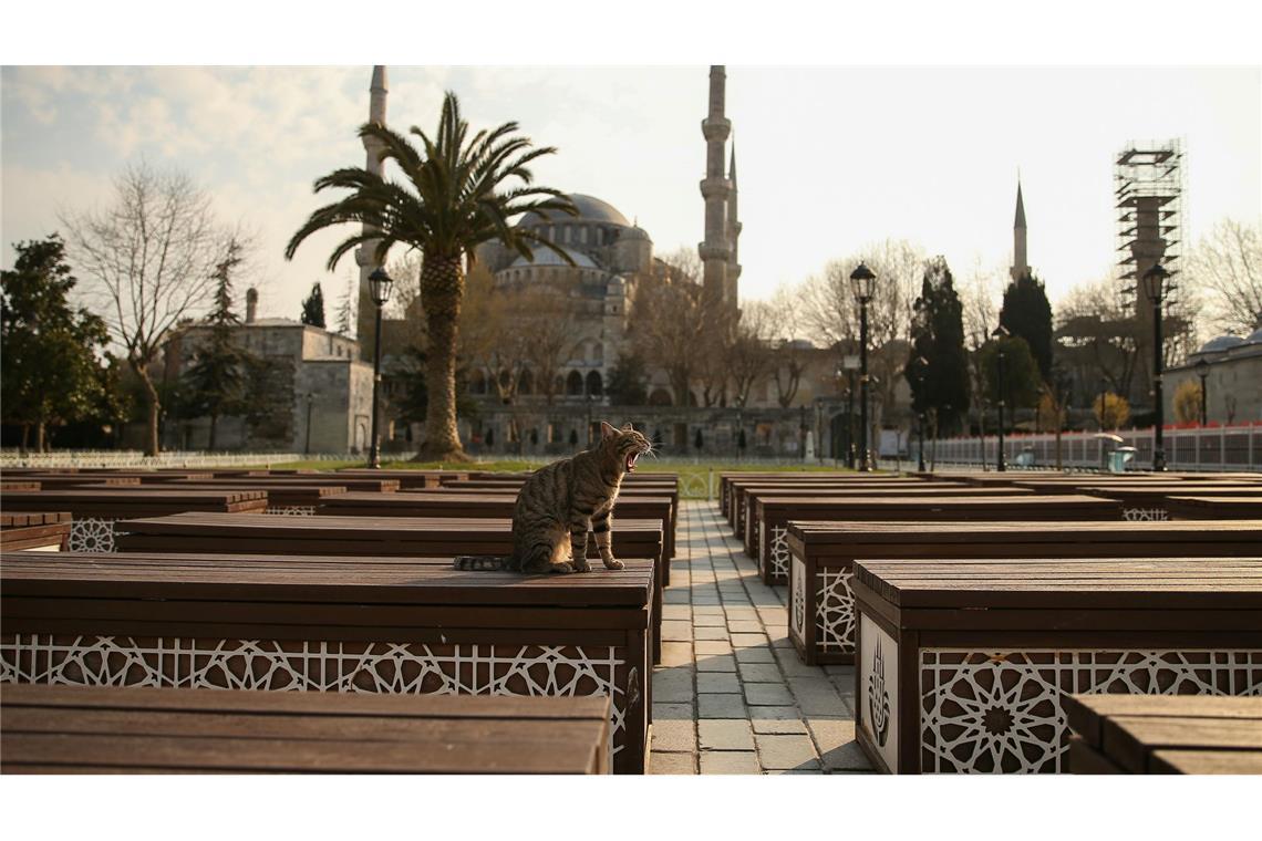 Kontroverse in Türkei - Frauenrechtlerin legt Kopftuch ab Das Kopftuch ist in der Türkei weiter umstritten, auch abseits von Gebetsstätten wie etwa die Blaue Moschee in Istanbul. (Archivbild)