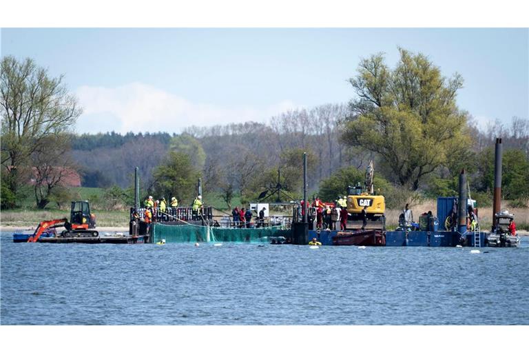 Das Netz ist runter: die Reise für den Buckelwal kann losgehen