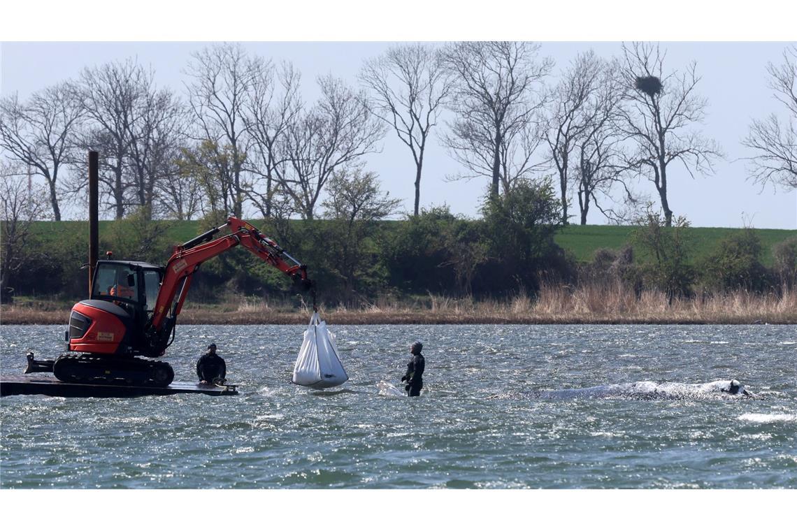 Das neue Konzept der Privatinitiative wird geduldet.