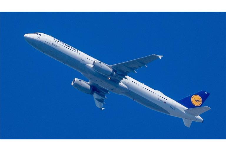 Das Pilot musste umdrehen  und zurück zum Flughafen nach New York kehren. (Symbolbild)