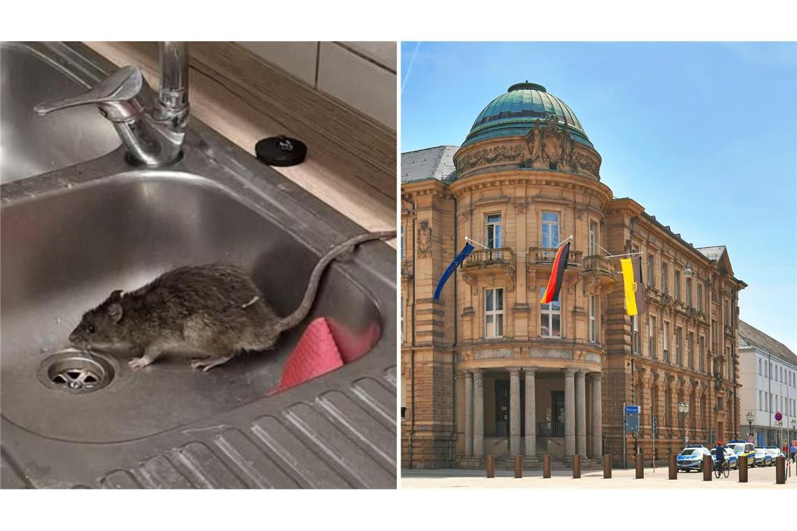 Das Polizeirevier am Karlsruher Marktplatz wurde zweimal von einer Ratte heimgesucht.