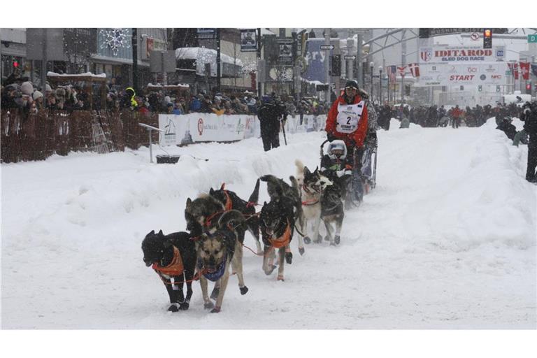 Das Schlittenhunderennen Iditarod ist gestartet.
