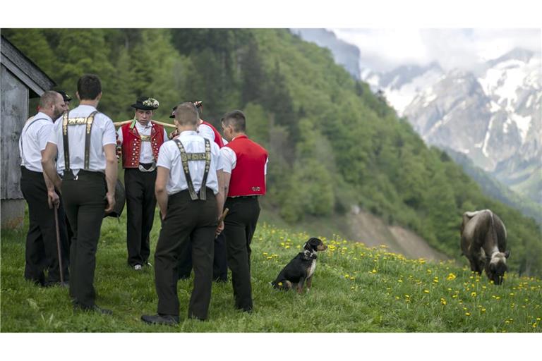 Das Schweizer jodeln sei einzigartig - sagen die Schweizer. (Symbolbild)