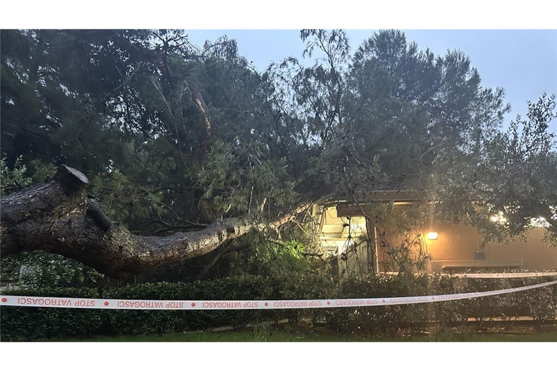 Schwere Gewitter verwüsten beliebte kroatische Ferienregion Das schwere Unwetter in Istrien hat Bäume entwurzelt – wie hier bei Pula – und für schwere Überschwemmungen gesorgt.