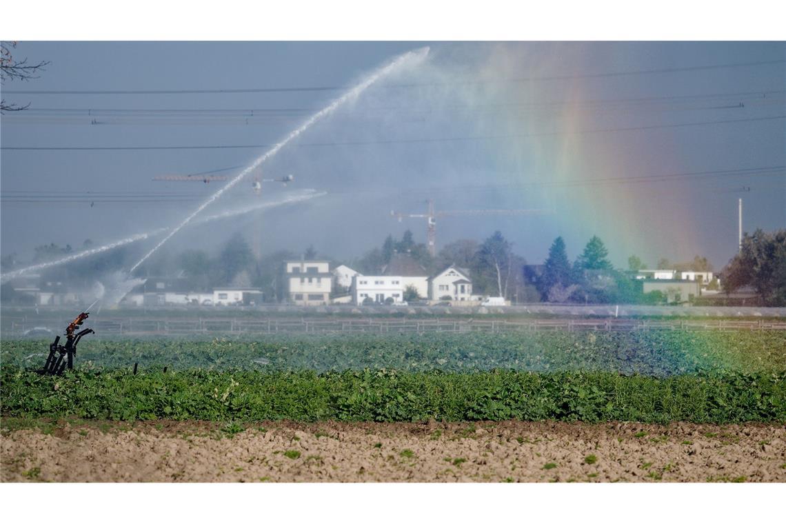 Oft über 20 Grad und endlich Regen: Wetter schwingt um Das seit Tagen anhaltende trockene Frühlingswetter soll am Sonntag vielerorts vorerst vorbei sein.