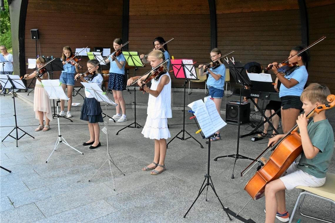 Familiäre Harmonie im Stadtgarten Das Streichensemble Paganinos meistert seinen ersten Auftritt mit Bravour. Foto: Elisabeth Klaper