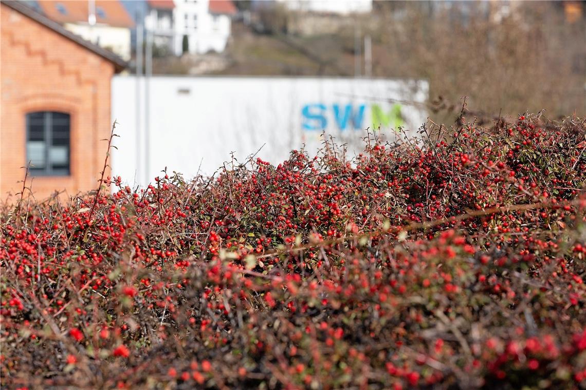 Das Team der Stadtwerke hat zurzeit viel zu tun. Zum Sommer ist eine Nachkalkulation erforderlich. Das Leitungsteam geht davon aus, dass die Gebühren für Nahwärme und Wasser spürbar erhöht werden müssen. Foto: Jörg Fiedler