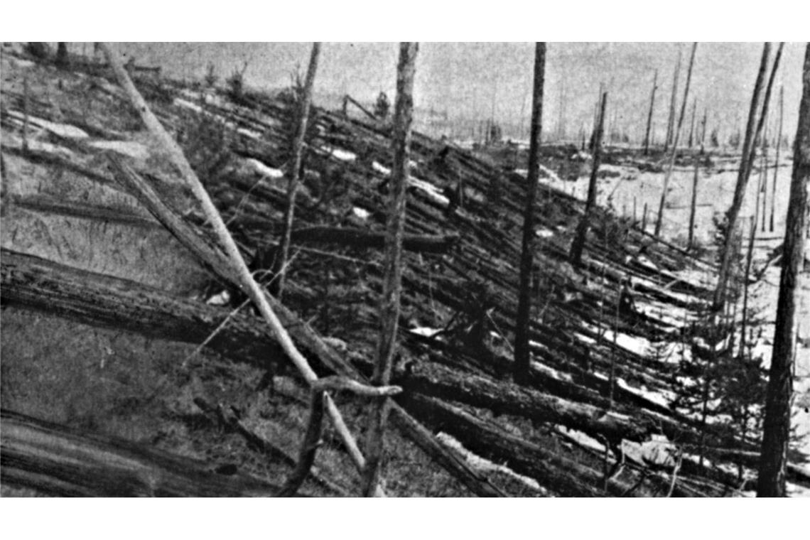 Asteroiden sind latente Gefahr - Einschlag auf dem Mond? Das Tunguska-Ereignis: Wahrscheinlich ein großer Brocken aus dem All verwüstete 1908 ein Gebiet in Sibirien. (Archivbild)