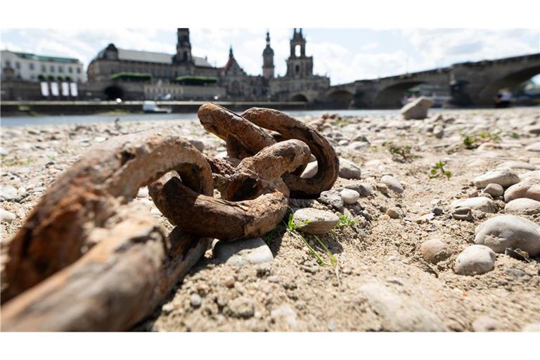 Das Ufer der Elbe ist teils ausgetrocknet.