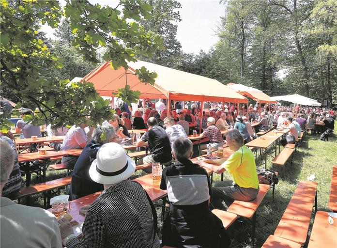 Das Waldfest profitiert von der idyllischen Umgebung rund um den Alleensee bei Murrhardt. Neben der guten Verpflegung bekommen die Gäste auch Blasmusik serviert. Foto: J. Fiedler